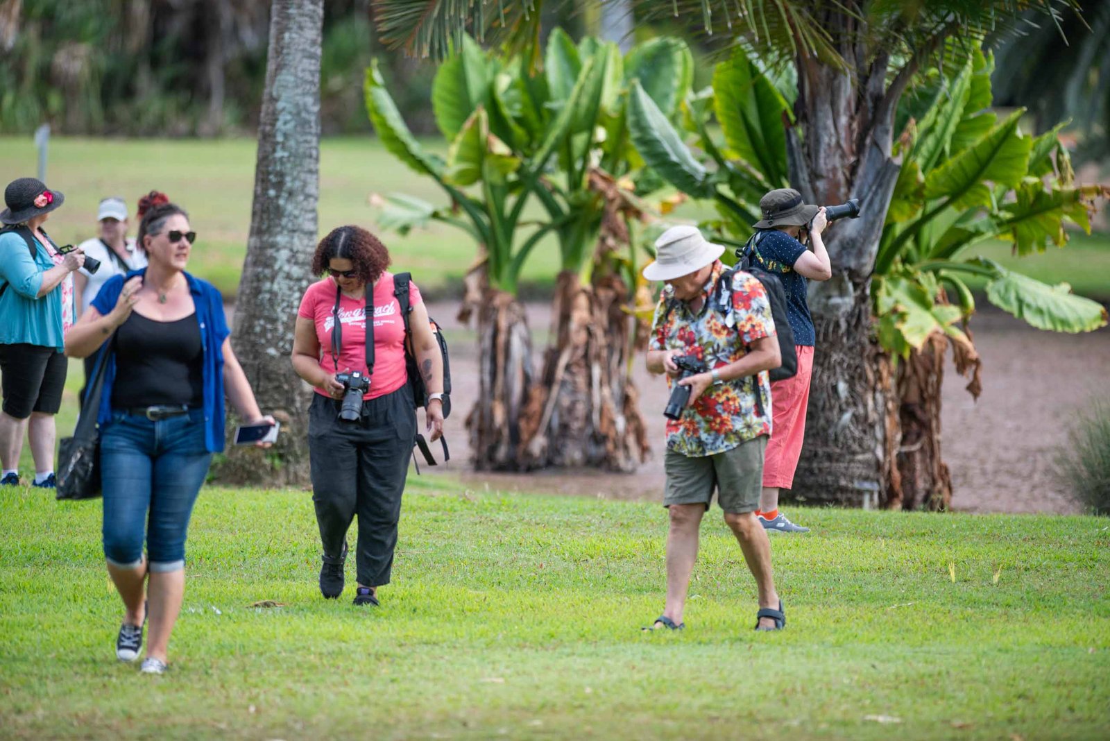 Palmetum photo walk